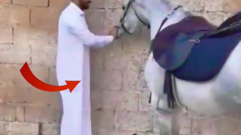 FUNNY VIDEO 😀😀😀