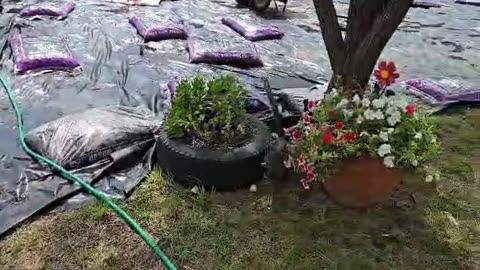 Garden Progress 2025