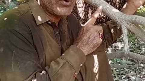 Get 100% natural honey forest pakistan