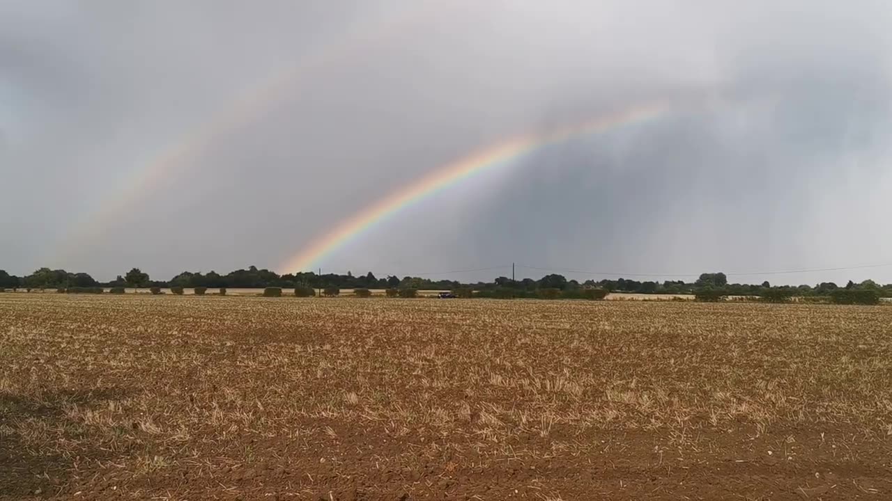 The Perfect Storm