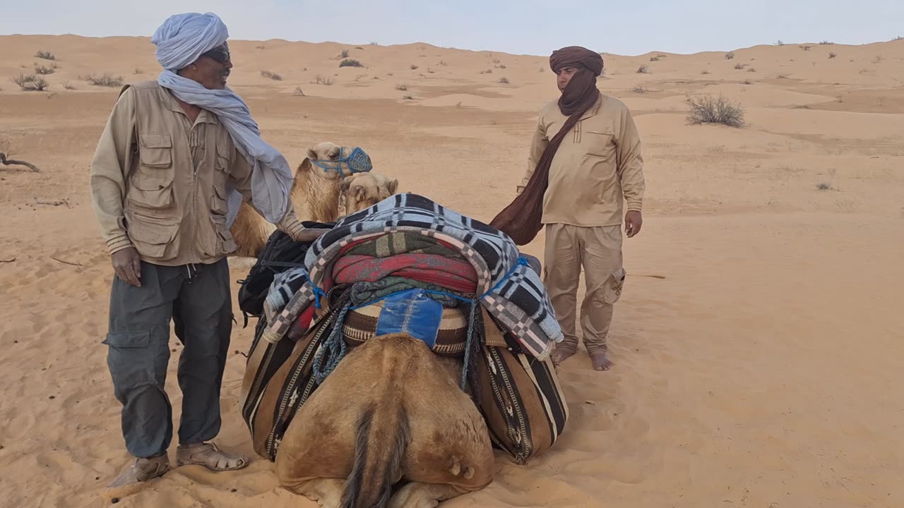 Mohammed & Mounir, April 6, 2025