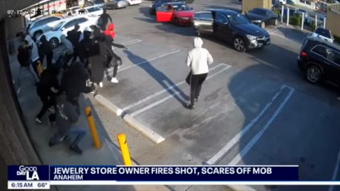 Jewelry Store Owner Fires At Thieves Outside, Scares Them Off