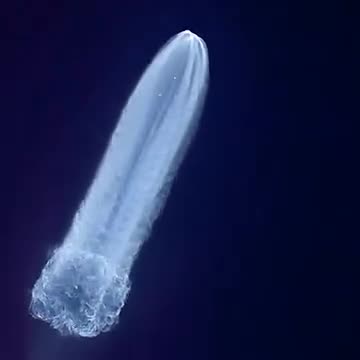 Flat earth dog the firmament