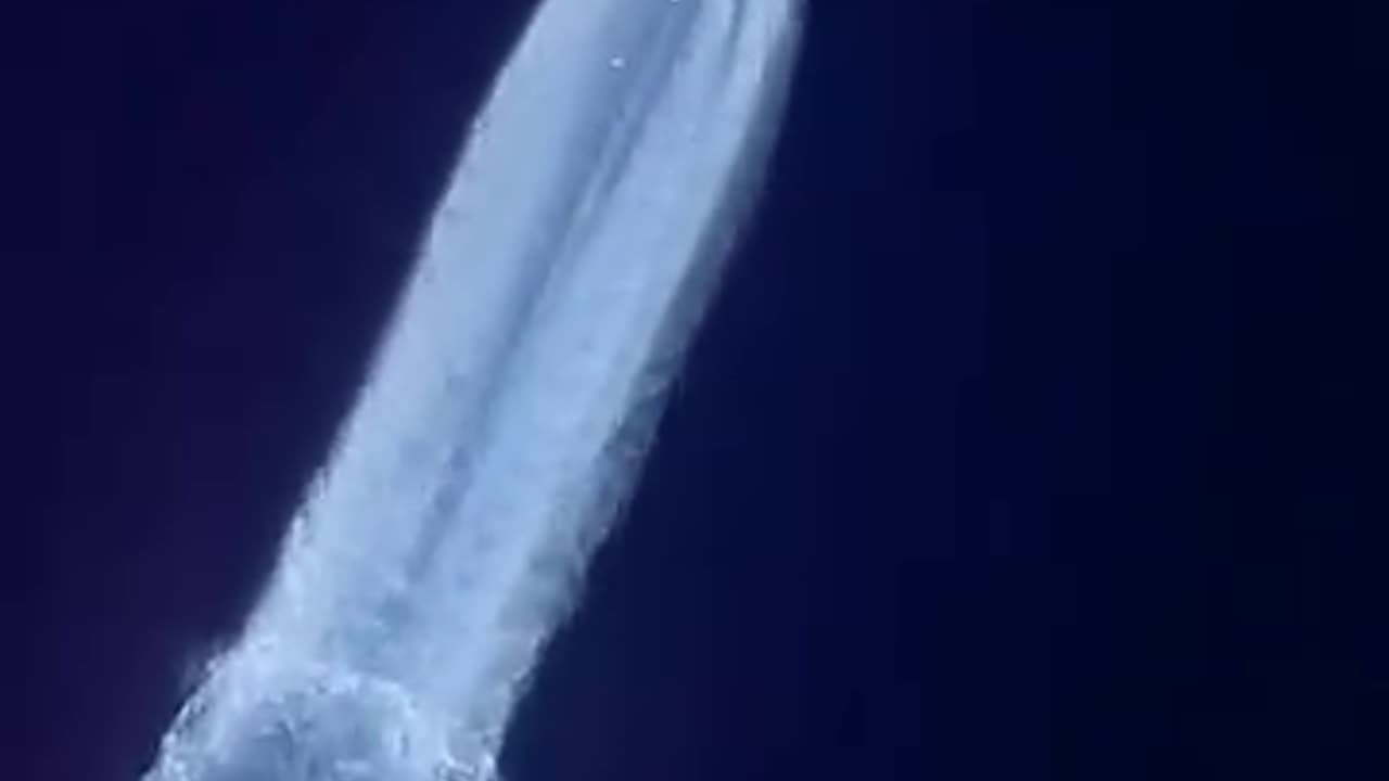Flat earth dog the firmament