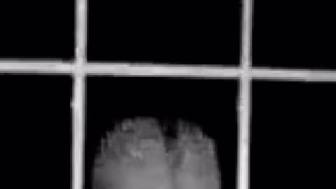 🛸🤔 Have We Ever Captured Real Footage of Aliens?! | TheTruthAbove