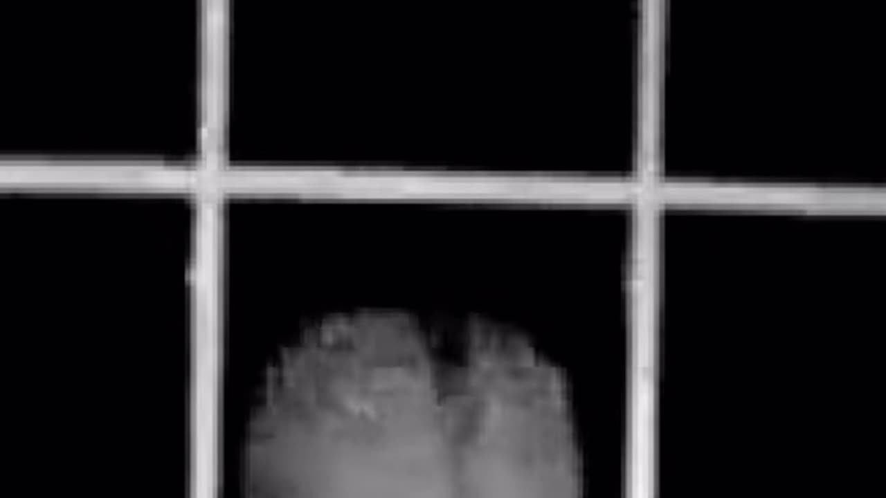 🛸🤔 Have We Ever Captured Real Footage of Aliens?! | TheTruthAbove