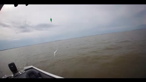 Lake Pontchartrain, Lake St. Catherine, Saturday at the Rigolets!