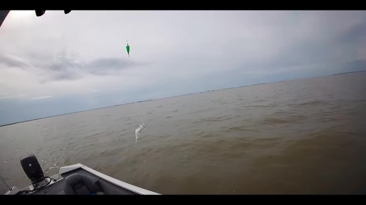 Lake Pontchartrain, Lake St. Catherine, Saturday at the Rigolets!