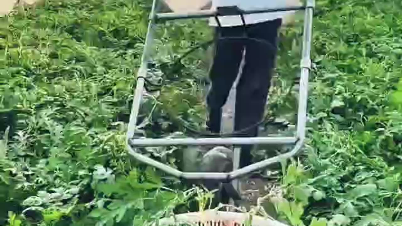 #China Ko Logon Ko Kam Karne Ka Alag Unique Tarika #Hai 👌👌🫡🫡