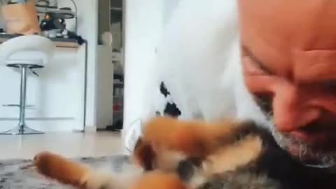 Sneaking in for little kisses.🐼🐼🐼🐼
