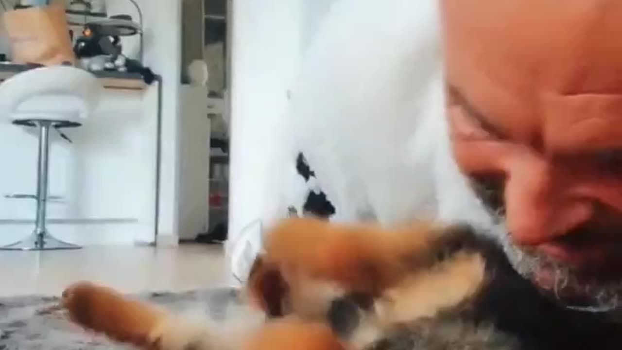 Sneaking in for little kisses.🐼🐼🐼🐼