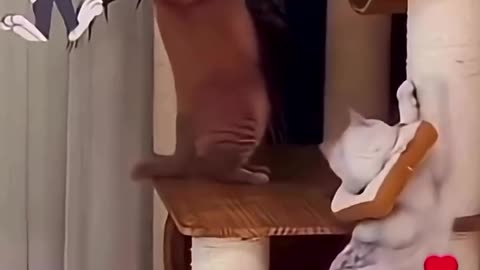 He bit the wrong meat 😂😂😂😂 #viral #funny