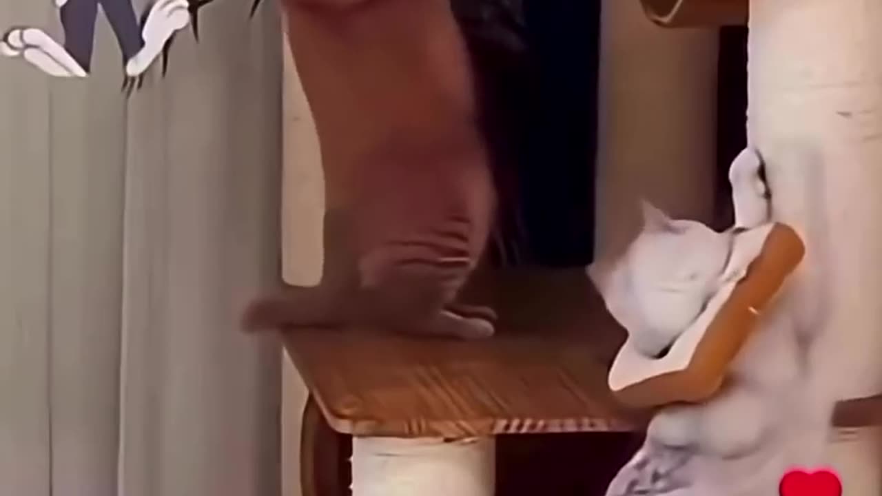 He bit the wrong meat 😂😂😂😂 #viral #funny