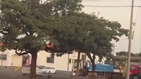 Perfect Arrest