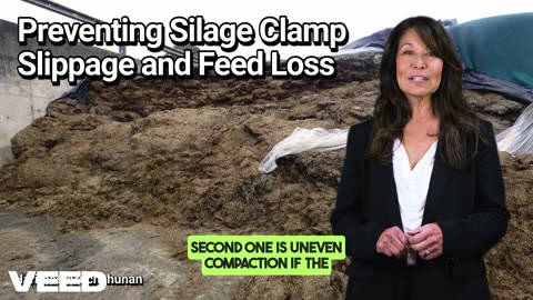 Silage Clamp Slippage:The Hidden Threat to Your Feed and How to Fight It