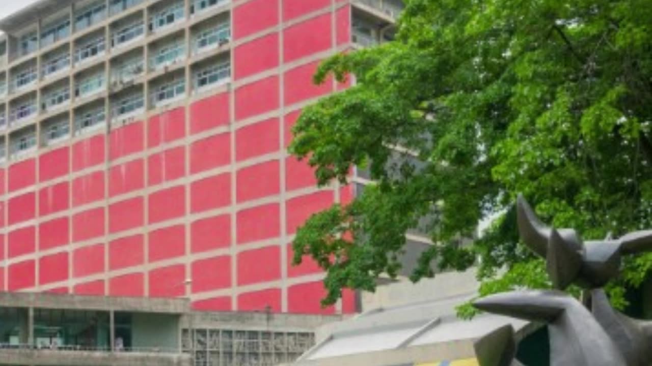 Delcy Rodríguez: Maduro 2.0 Rises – Venezuela's Nightmare Continues!