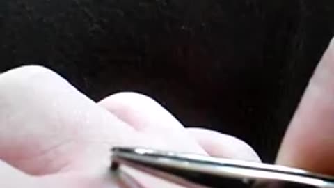 Elle retire une épine de son pied