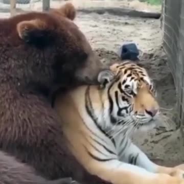 Whispering sweet nothings 🤣