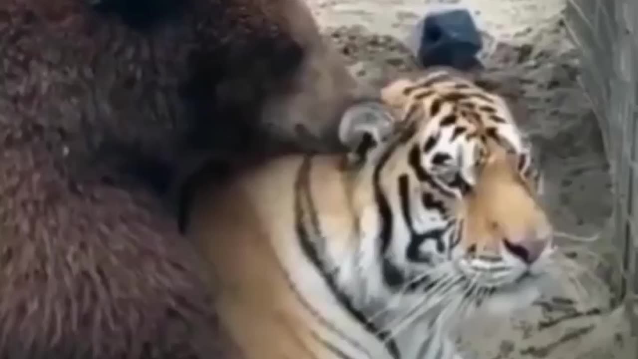 Whispering sweet nothings 🤣