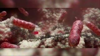 INFOWARS LIVE - 10/30/25: The American Journal with Breanna Morello / The Alex Jones Show / The War Room With Harrison Smith