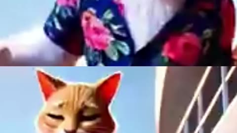 The Cat Father’s Betrayal 🐾