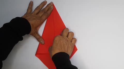 How to Make Bird Origami | Easy Paper Bird Folding Tutorial