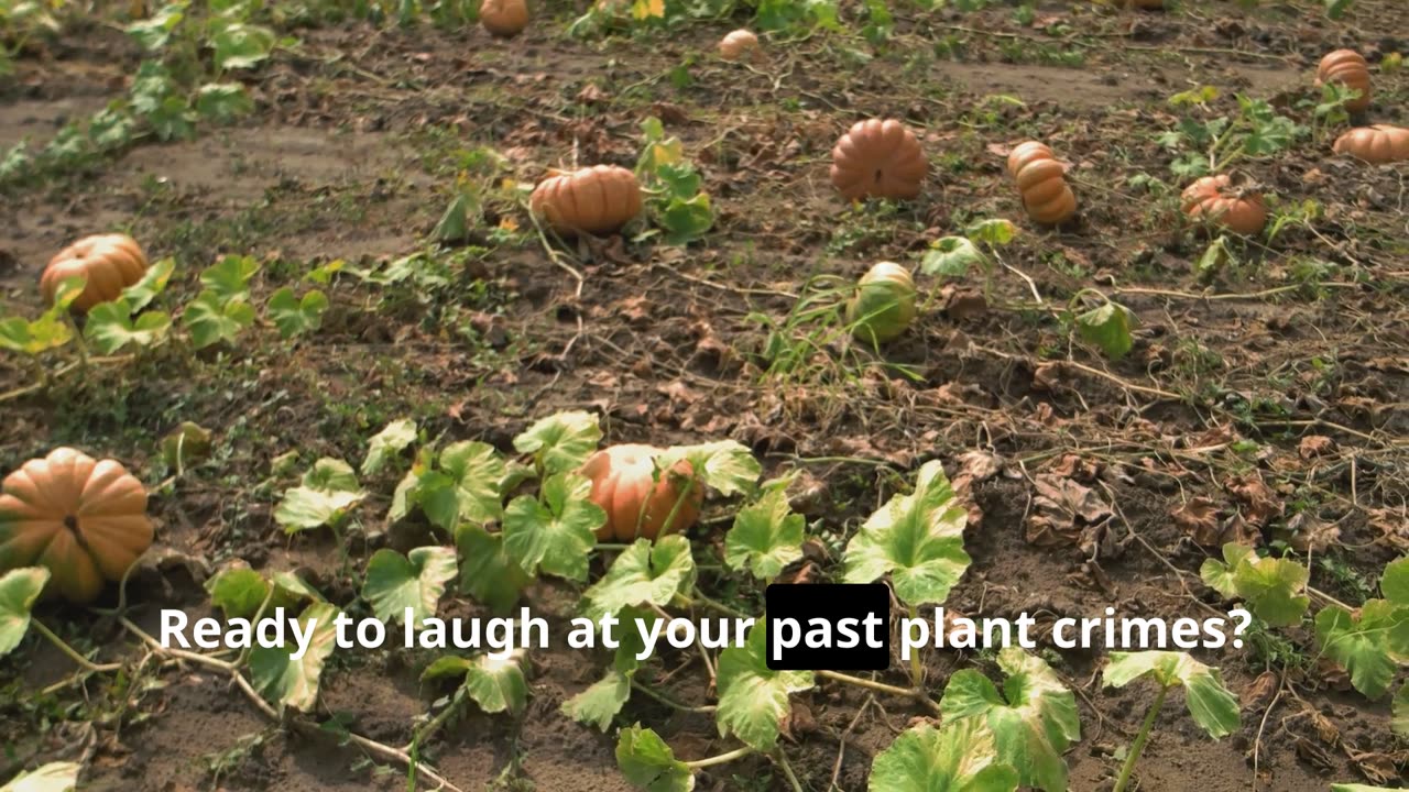🌱 “Your Container Gardening Seed Starting Timeline is a Joke. Let’s Fix It.”
