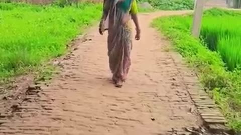 Jare wala Ja Re Man Mora Mare