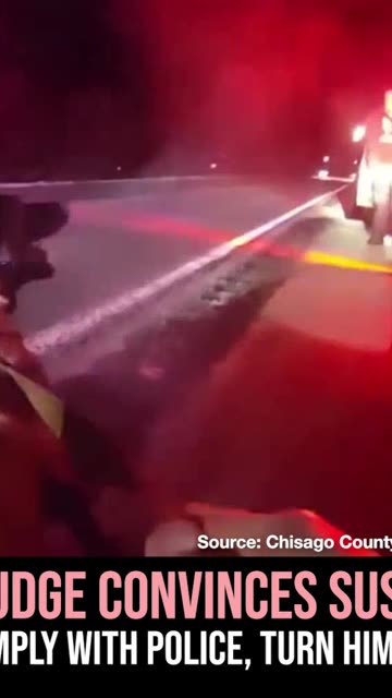 K9 Judge Convinces Suspect to Comply with Police, Turn Himself In