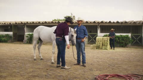 Amanecer Capitulo 07