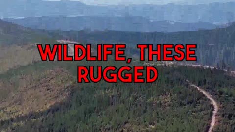 A Nature Lover's Guide to Oklahoma's Wichita Mountains Wildlife Refuge
