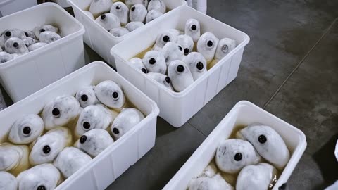 Top secret cultivation facility