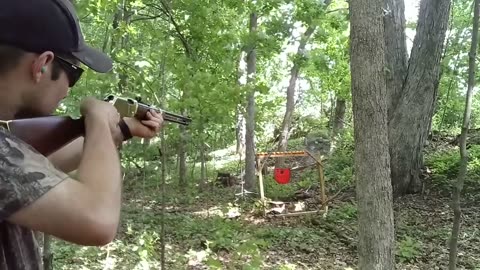 Henry golden boy plinking