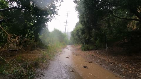 Hiking in the Rain