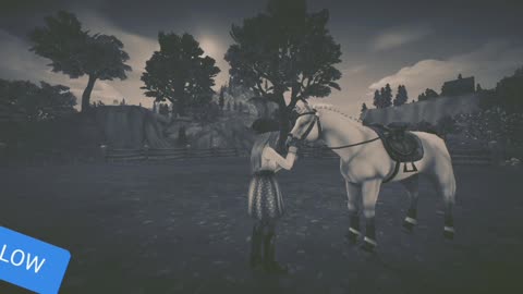 Star stable montage!!