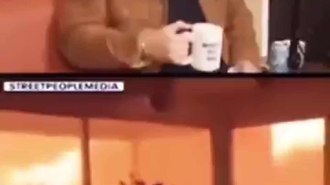No Lie Detected