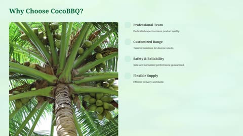 Nature Carbon: Your Eco Charcoal Partner