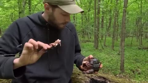 Secret dugout a hollow tree. Part 3
