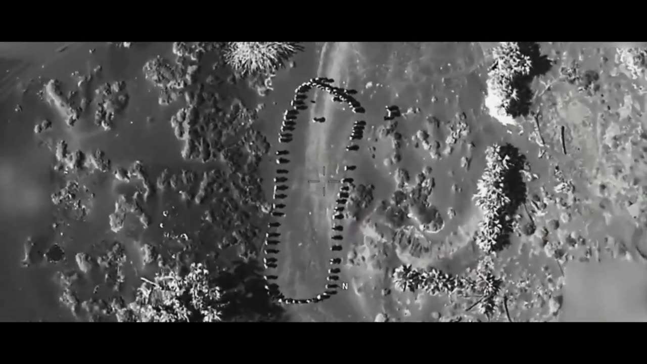 💥 The Pentagon's new anti-woke ad: 'No more gender confusion'