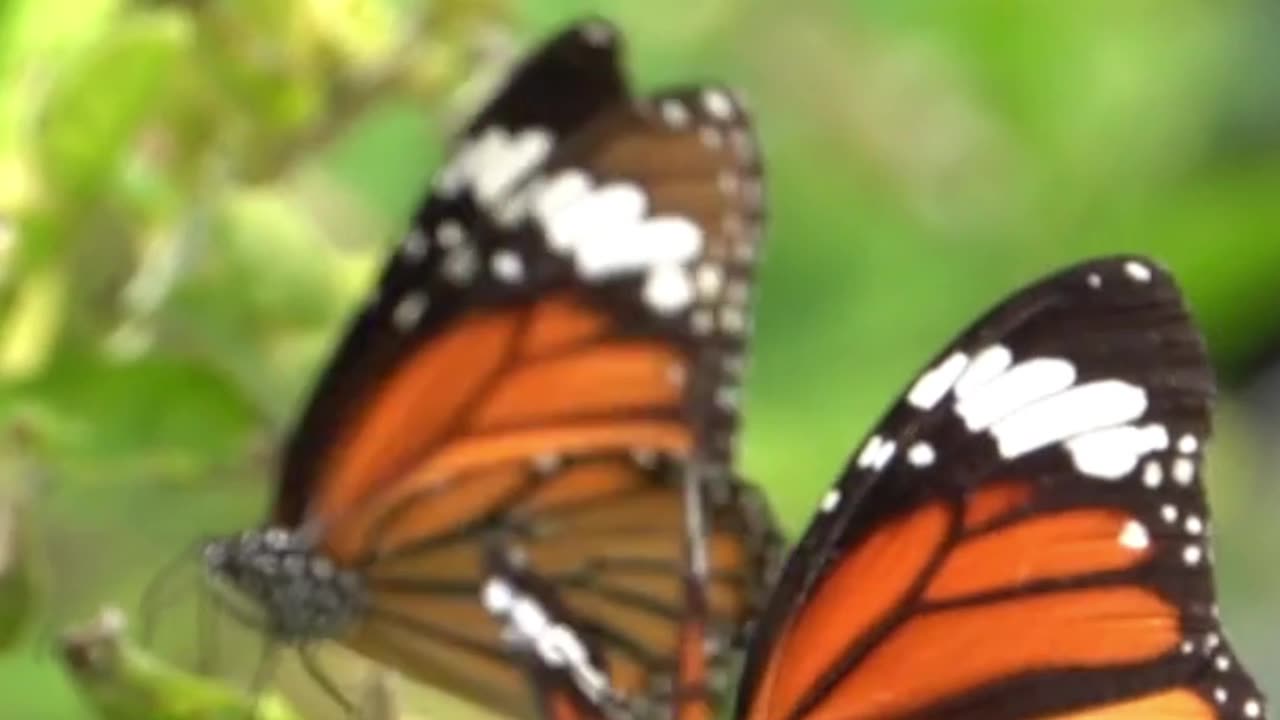 Have faith in your transformation.