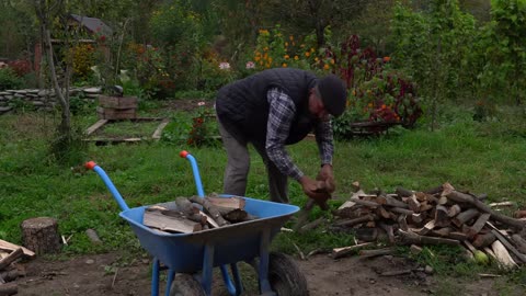 From the Mountain to the Table - Mushroom Season in the Mountains of Shahdag