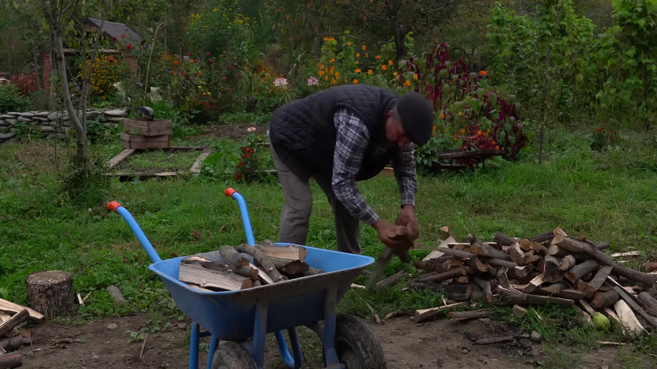 From the Mountain to the Table - Mushroom Season in the Mountains of Shahdag