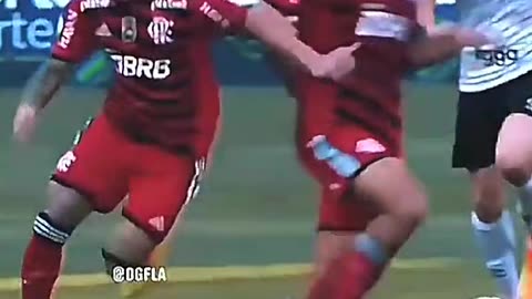 ⚡🧅#evertoncebolinha#flamengo#tiktok