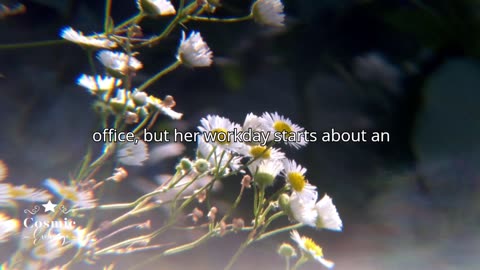 AITA for telling my wife I can't always stop work to do things for her?
