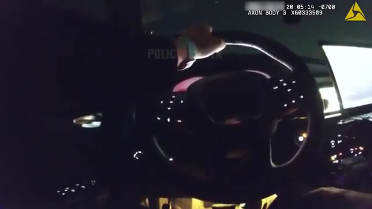 Woman Attempts To Take Cop's Rifle After DUI