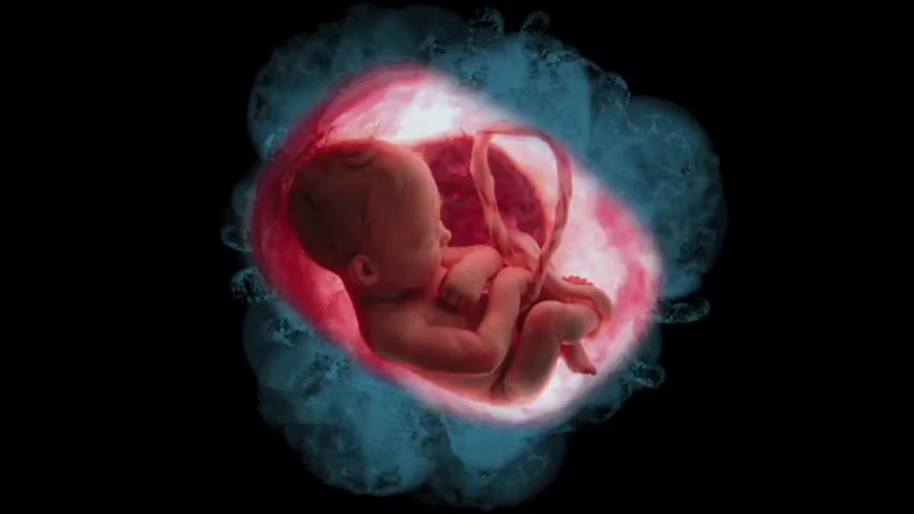 Germs Virus Bacteria Are Not The Cause Of Disease