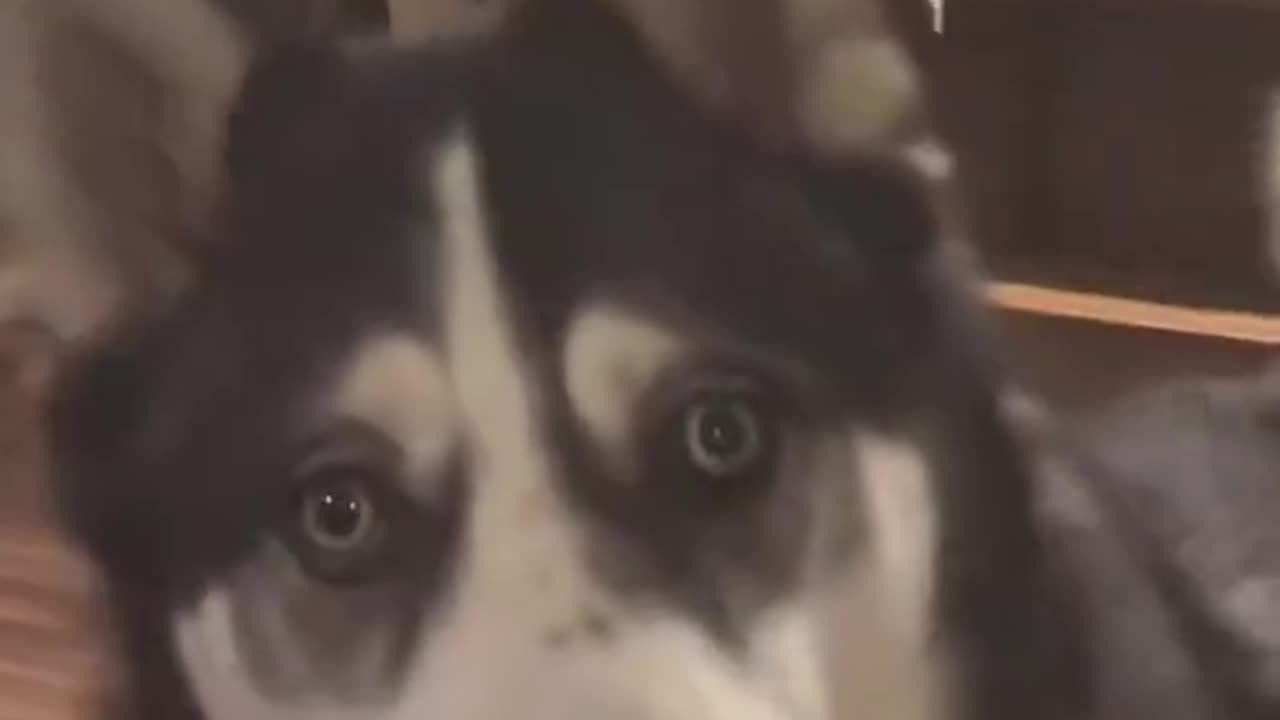 Woe Day 49. I am in the ark. Waiting for GOD to open the Door for a spring/summer Pentecost rapture