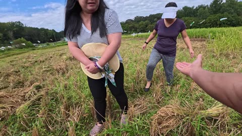 KaraBand Hmong GA Vang Farm Sept 2025