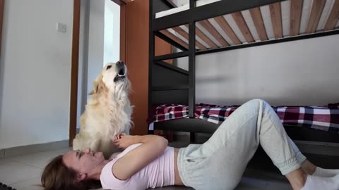 playing-hide-and-seek-with-my-dog