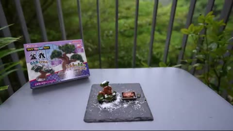 Unique Japanese Food, Snacks, and Candies (Part 1)